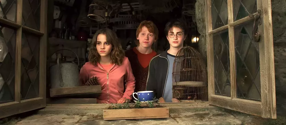 Prueba: ¿Qué personaje de Harry Potter eres, Albus Dumbledore o el Señor Oscuro?